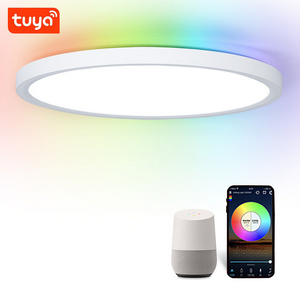 Factory Direct Selling High-Quality Smart Ceiling Lighting Decoration APP Tuya Wifi Control 300mm 24W Ambient LED Ceiling Lights