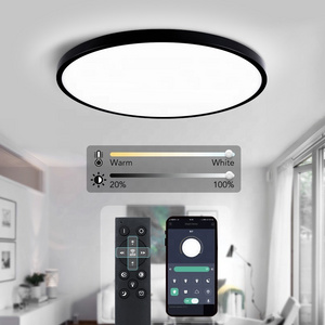 Ultra Thin Intelligent Home Lighting 48W 500mm APP Remote Control Switch Controlled Smart Led Ceiling Lights For Indoor Lighting