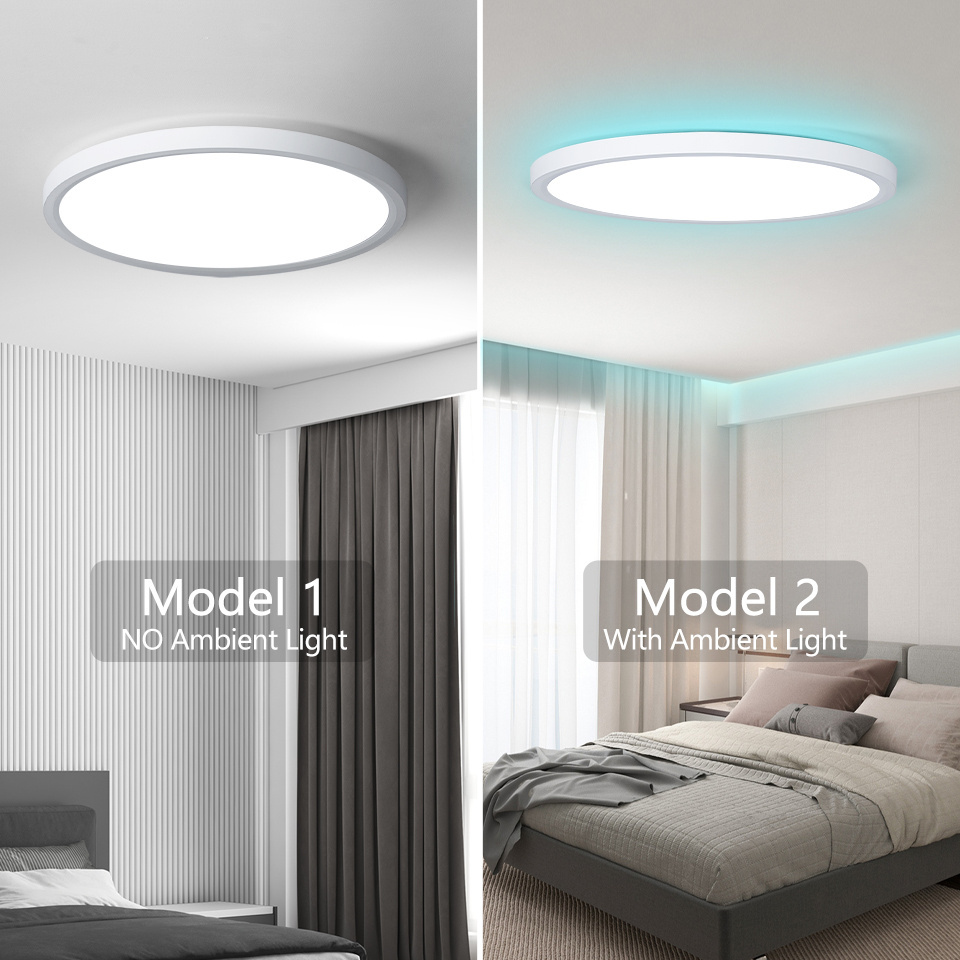 TUYA Smart Home Lighting D300mm 24W RGB Dimmable LED ceiling light Work with Alexa and Google Assistant