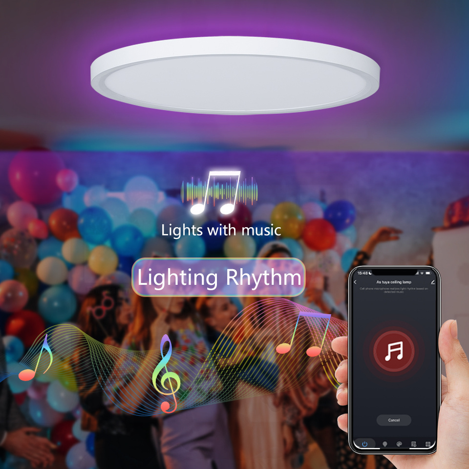 TUYA Smart Home Lighting D300mm 24W RGB Dimmable LED ceiling light Work with Alexa and Google Assistant