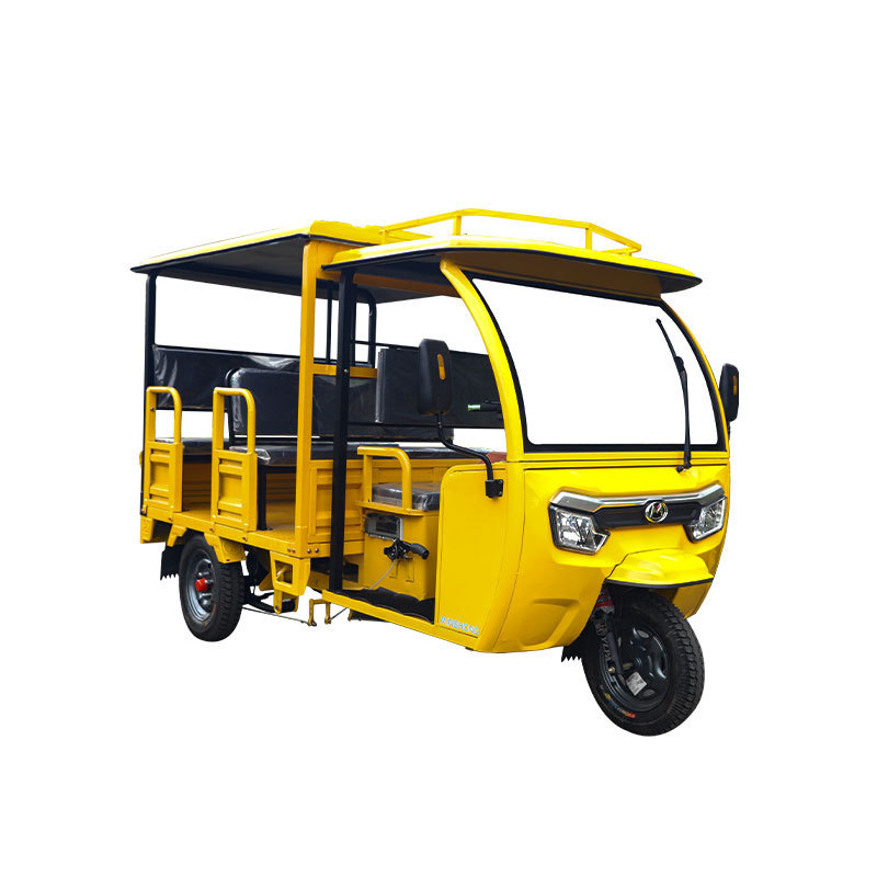 COC/EEC New Bajaj Electric Tricycle For Passenger Lithium Battery Electric Passenger Tricycle With Dog Seat and Radio