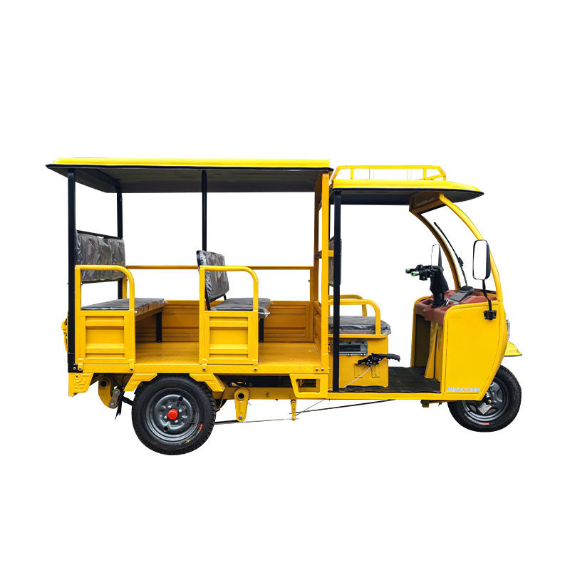 COC/EEC New Bajaj Electric Tricycle For Passenger Lithium Battery Electric Passenger Tricycle With Dog Seat and Radio