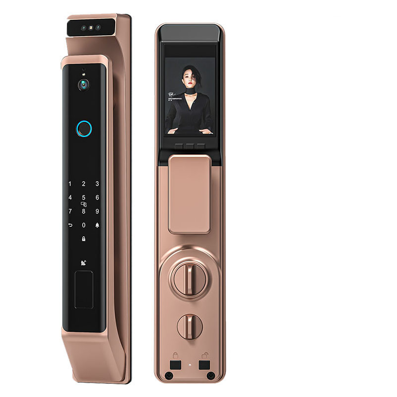 Rose Gold WiFi App Fingerprint Keyless Smart Home Door Lock Outside Motherboard Unlocked With Face