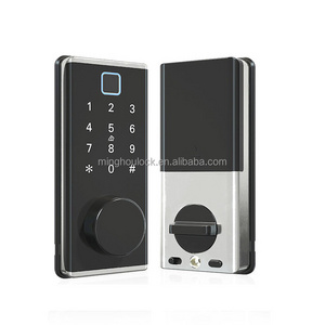 Biometric Fingerprint lock System ttlock smart home Door Lock with TT lock Mobile APP