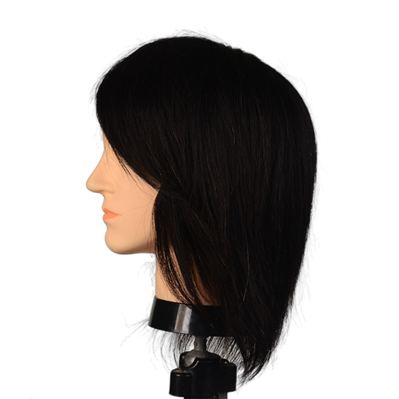 Factory Price Human Hair Doll Male Hair Mannequin Heads Without Beard Natural Hair Training Head