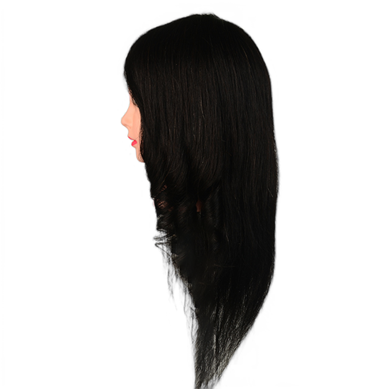 Salon teaching tools plastic female mannequin training head with human hair wig