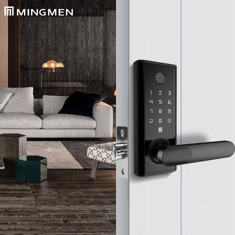 MINGMEN Hot Sell Product S07D TTLock With Bluetooth ANSI Standard Mortise Fingerprint Smart Door Lock