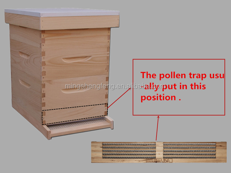 beekeeping rows wooden pollen collector trap