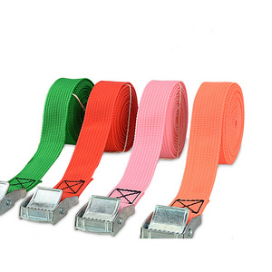 25mm cam lock buckle tie down cargo lashing belt strap high tensile lifting and moving straps