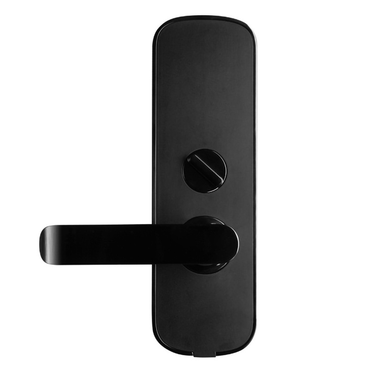 Popular Design Luxe Outdoor Gate Electronic Security Locks  Keyless Entry Smart Door Lock