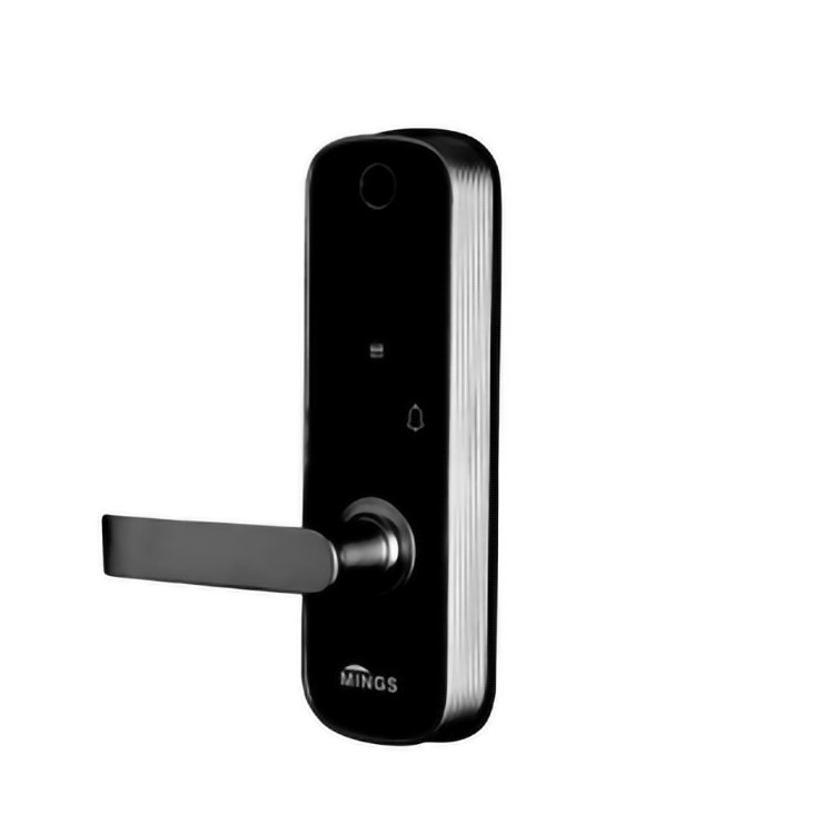 Popular Design Luxe Outdoor Gate Electronic Security Locks  Keyless Entry Smart Door Lock