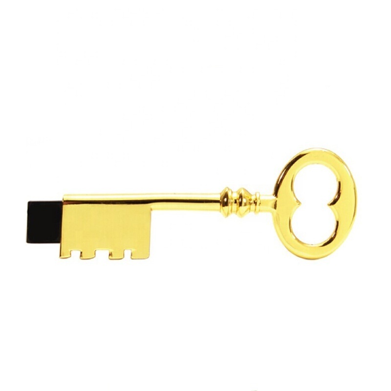 Promotional antique Usb 2.0 Flash drive Key shape Usb Pendrive