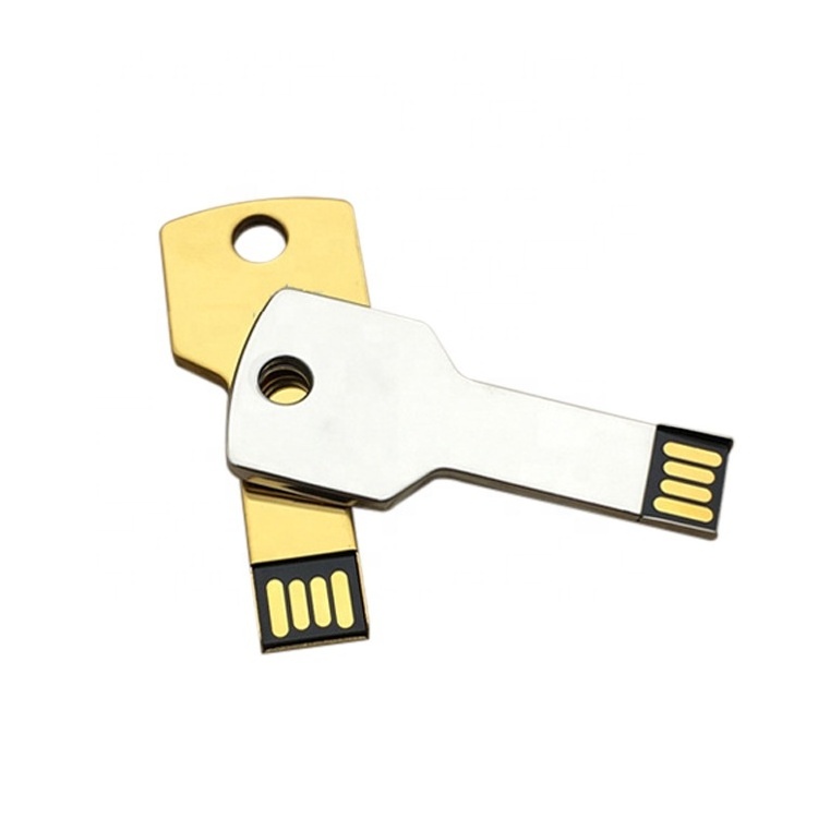 OEM USB Flash drive Keys 512mb 1GB disk on key with Logo