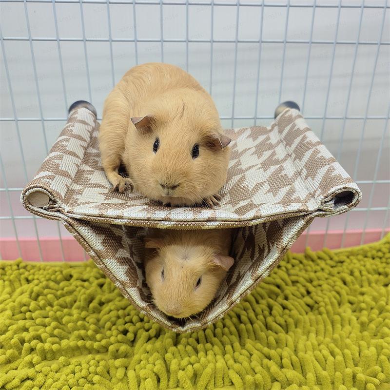 Guinea Pig Bed Hamster Hammock Golden Bear Honey Kanga Squirrel Hanging Platform Nest Small Pet Summer Supplies