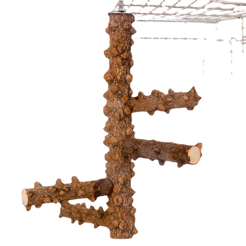 Bird supplies rotating log with skin stair stand bar toy pole accessories