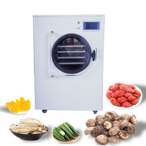 6Kg 8Kg 10Kg Home Use Mini Vacuum Lyophilizer Compressor Vacuum Pump Small Household Freeze Dryer