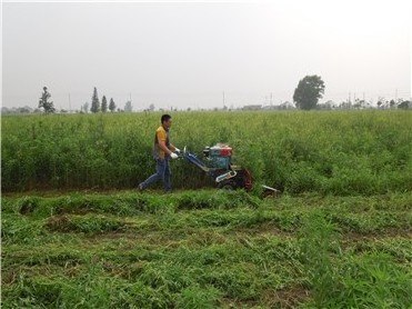 Stevia Reaper Binder Wheat Paddy Cutter Windower Swather