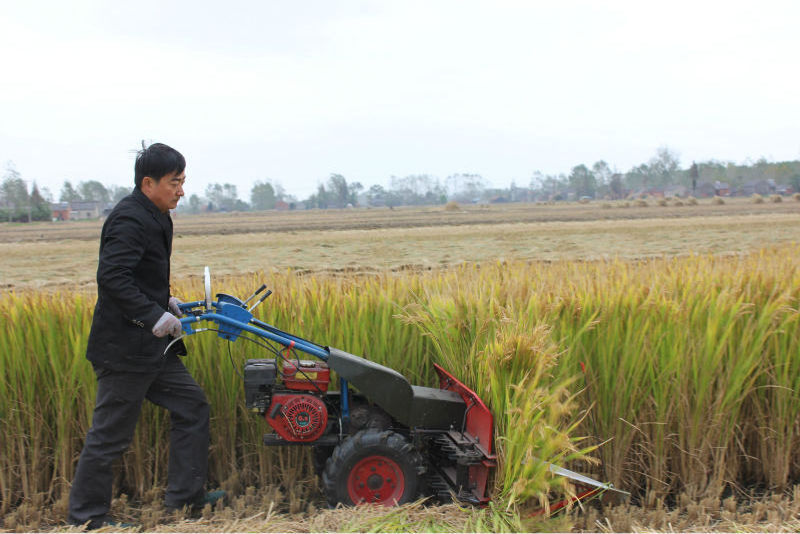 rice reaper wheat harvester forage grass cutting machine price