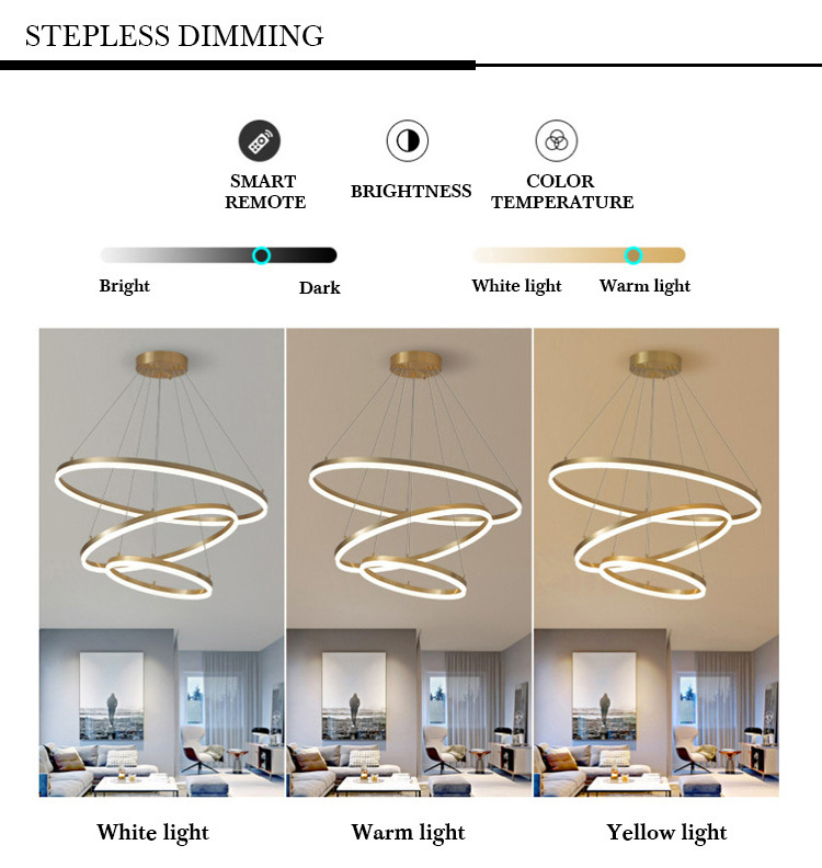 Contemporary Hanging Ceiling Globe Ring Luxury Acrylic Nordic Round Modern Lamp Lampen Chandelier Led Circle Pendant Light