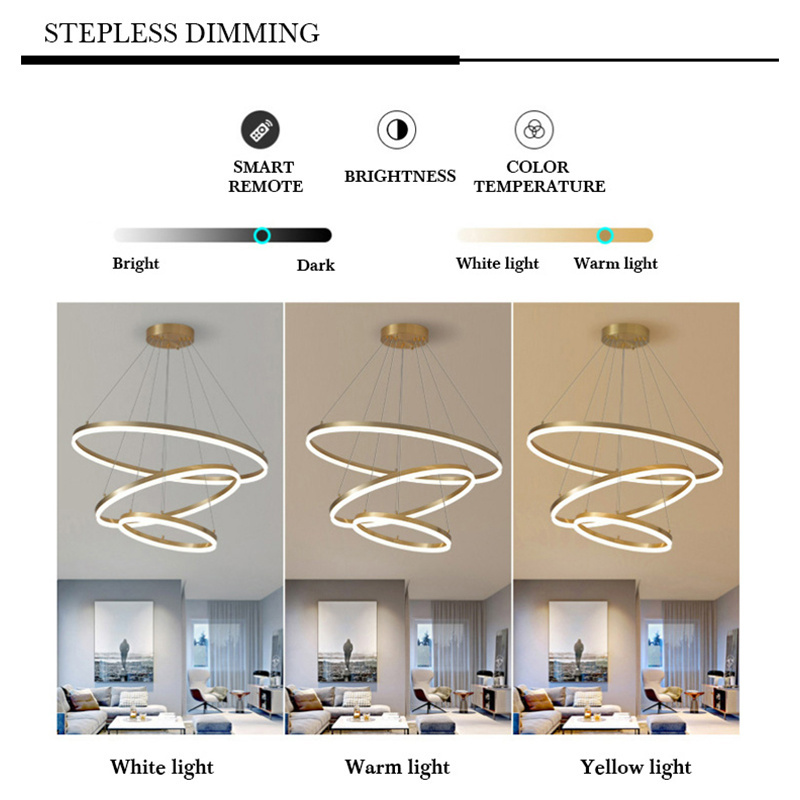 Contemporary Hanging Ceiling Globe Ring Luxury Acrylic Nordic Round Modern Lamp Lampen Chandelier Led Circle Pendant Light