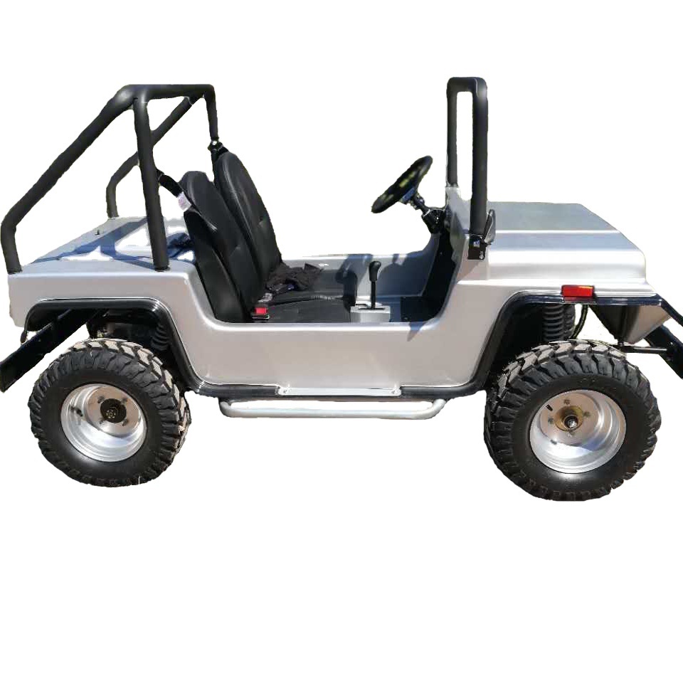 Electric Dune Buggy 1500W Mini Jeep 2 Seater Golf Cart Quad Atv