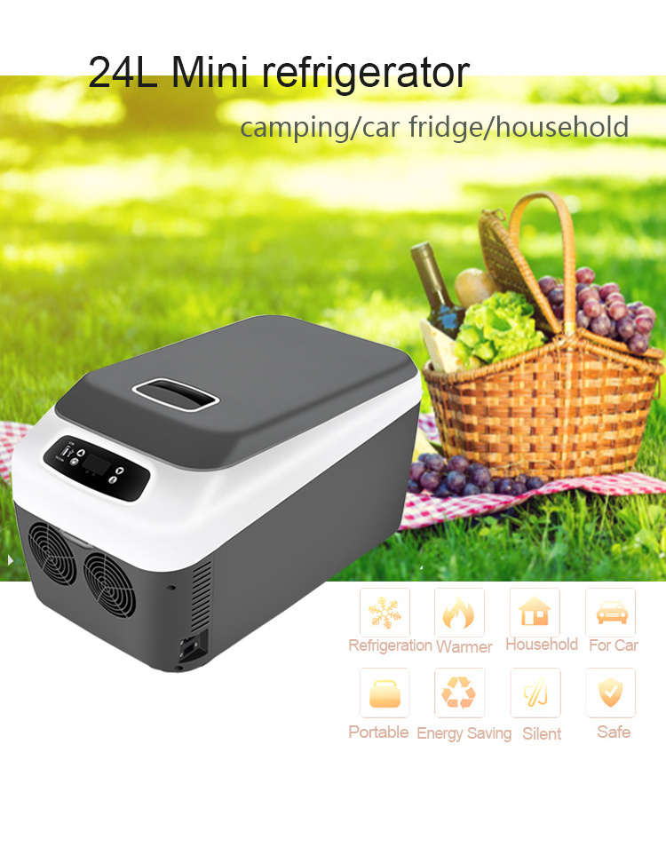 22L 12V 220v Portable plastic outdoor cooler box refrigerator small  vehicle fridge