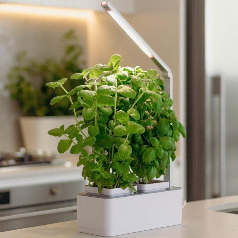 Annecy Minigarden with smart soil - smart herb indoor hydroponic garden with plant grow light made in China