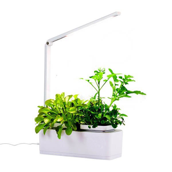 Annecy Minigarden with smart soil - smart herb indoor hydroponic garden with plant grow light made in China