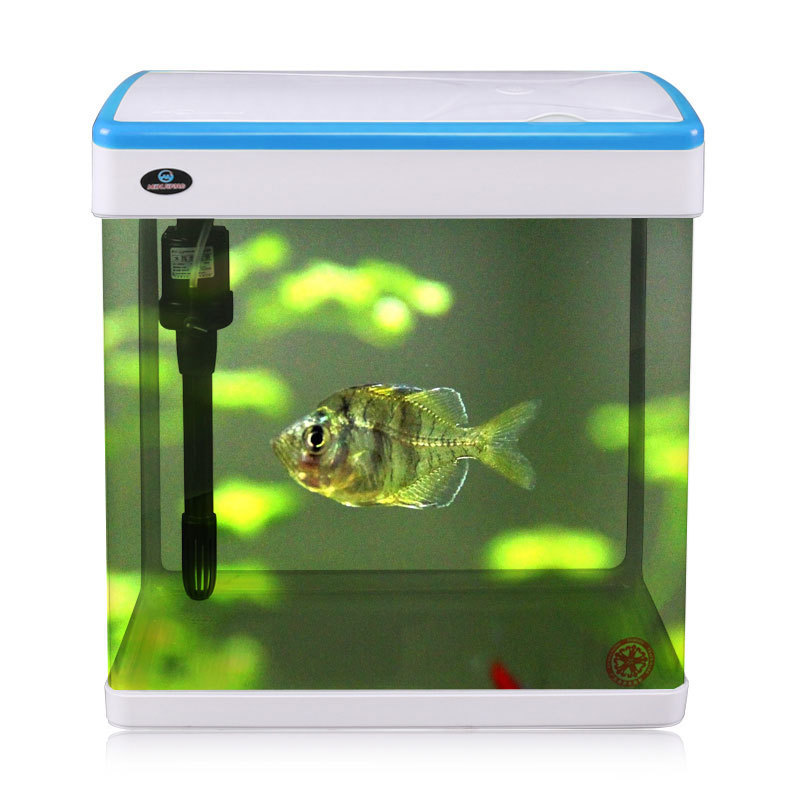 Minjiang New Style Mini Curved Glass Aquarium LED Lamp Table Fish Tank