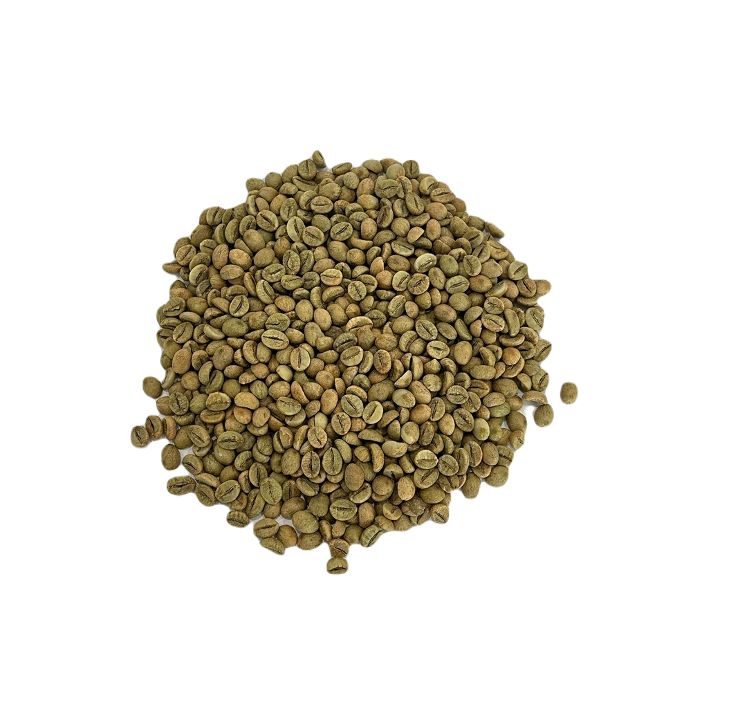 Coffee Green Bean Vietnam Robusta High Grade New Crop Good Taste For World Wide Wholesale suppliers