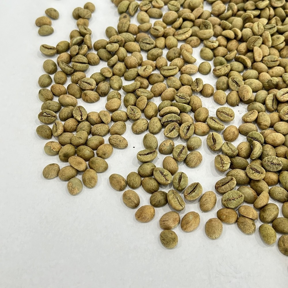 Coffee Green Bean Vietnam Robusta High Grade New Crop Good Taste For World Wide Wholesale suppliers