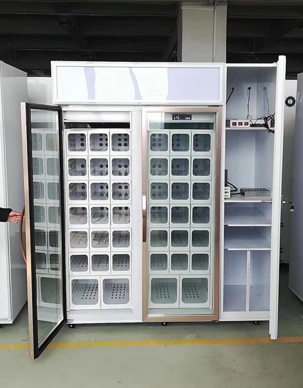 Automatic Flower Vending Machine Metal Smart Cooling Machine Outdoor Fresh Flower Sales Machine