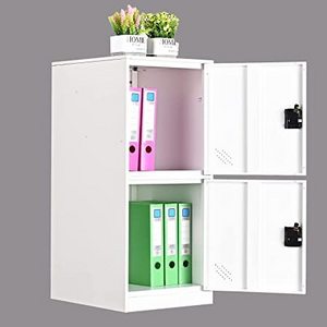 MECOLOR Vertical Single Tier Small Locker with Padlock latche 2 or 3 Compartment Storage for Employee,Home,Office,School,Kids