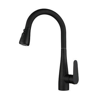 Hot and Cold Water Mixer Basin Faucet Kitchen Handle 304 Stainless Steel Black Brass Sink Faucets Bathroom