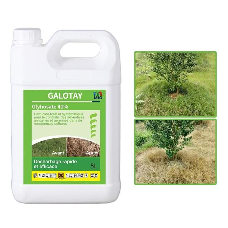 Glyphosate ammonium salt 75.7% SG, Agrochemicals Herbicide Biocidal herbicide Weed Killer