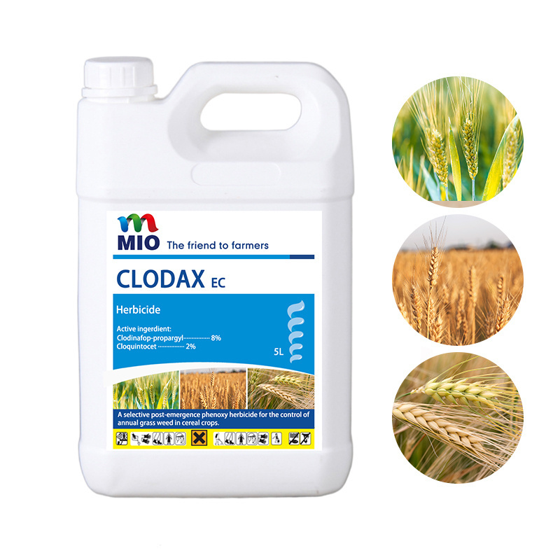 Clodinafop-propargyl 8%+Cloquintocet 2% EC High quality herbicides control in cereals  weed killer herbicides for agriculture