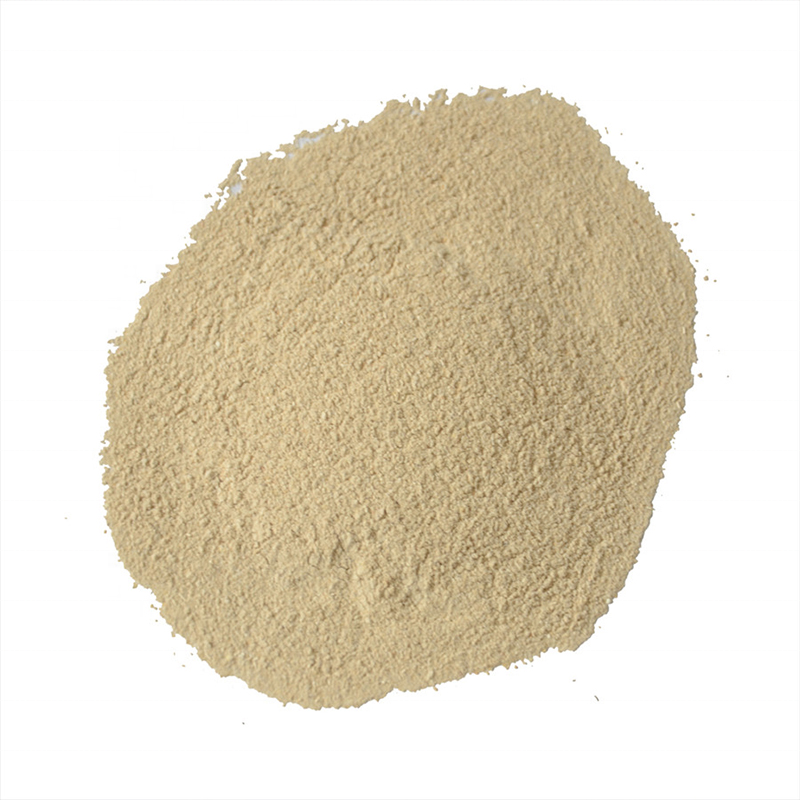 Cock Fighting Supplies Probiotic Bacillus Subtilis Lactobacillus Casei Powder for Chicken Fighting Rooster