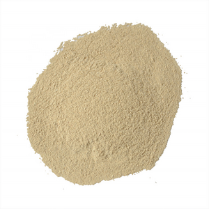 Cock Fighting Supplies Probiotic Bacillus Subtilis Lactobacillus Casei Powder for Chicken Fighting Rooster