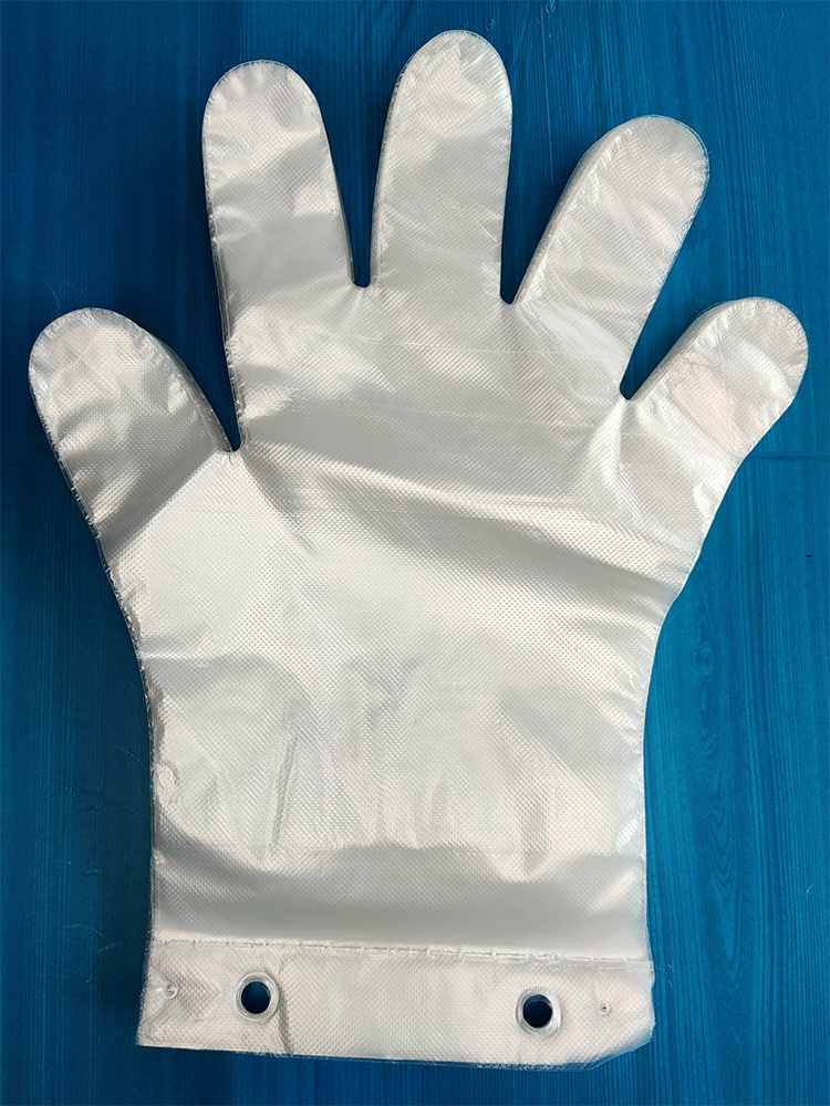 China OEM ECO-Friendly Customized Transparent HDPE Poly Food grade individually packaged folded Disposable Plastic  gloves