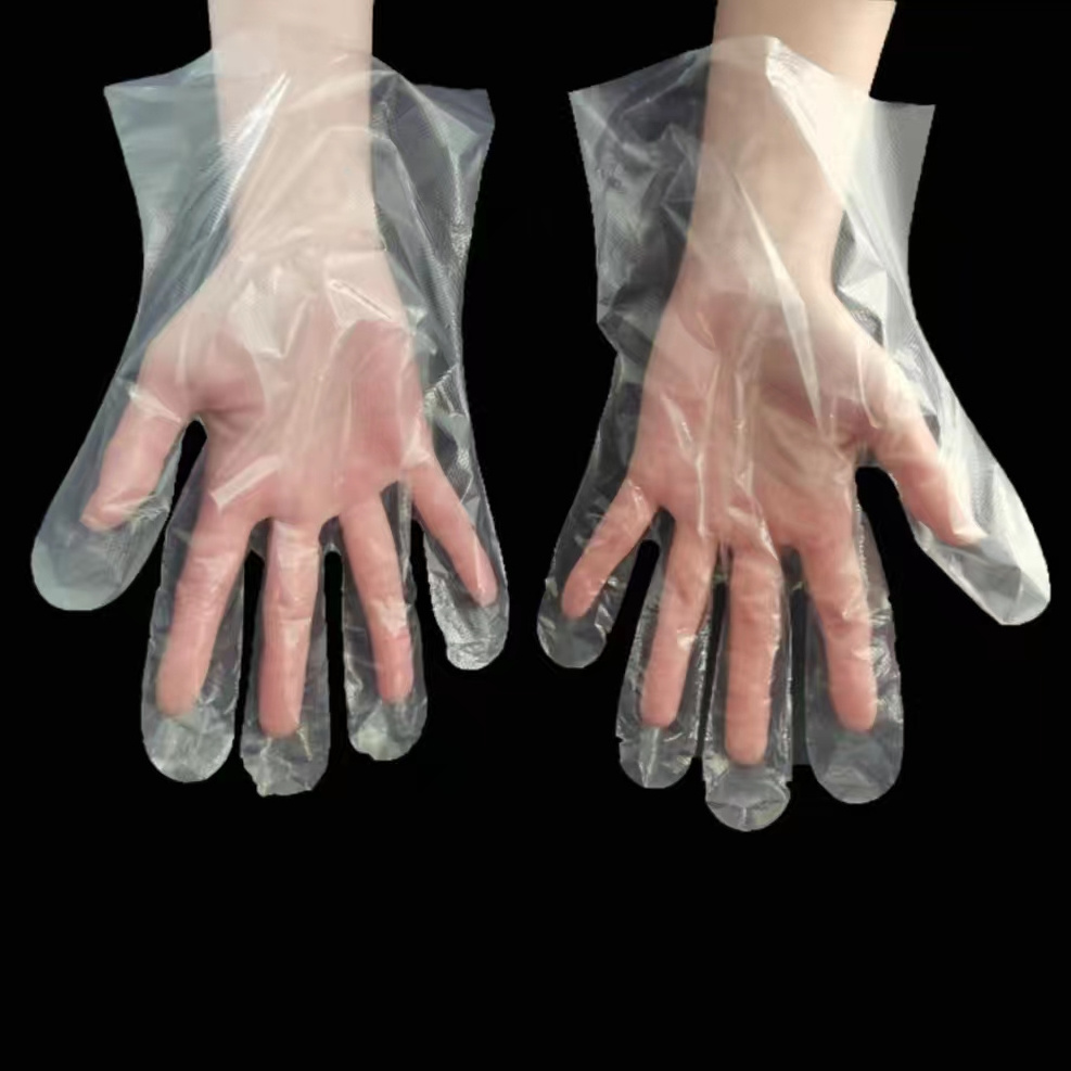 HDPE/LDPE/TPE polyethylene disposable gloves box of 500 examination glovee