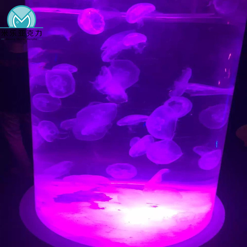 Factory professional custom asian curved glass ornaments medusa jellyfish aquarium