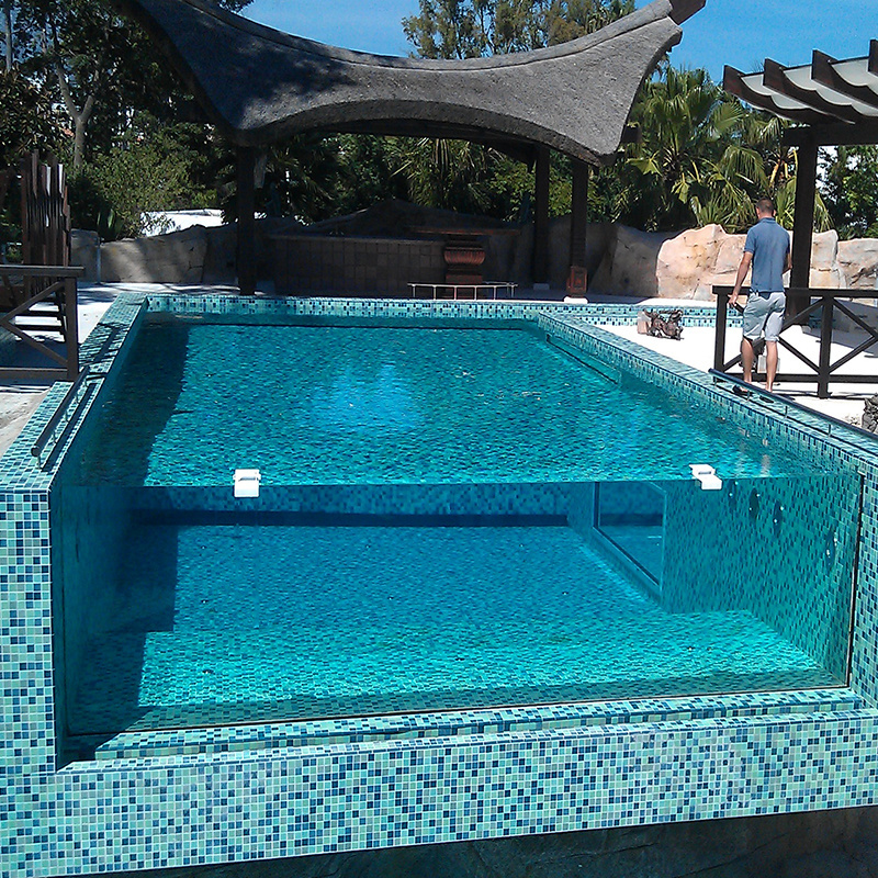 Hot Selling Usa high quality multifunctional large Acrylic Endless Swimming Pool