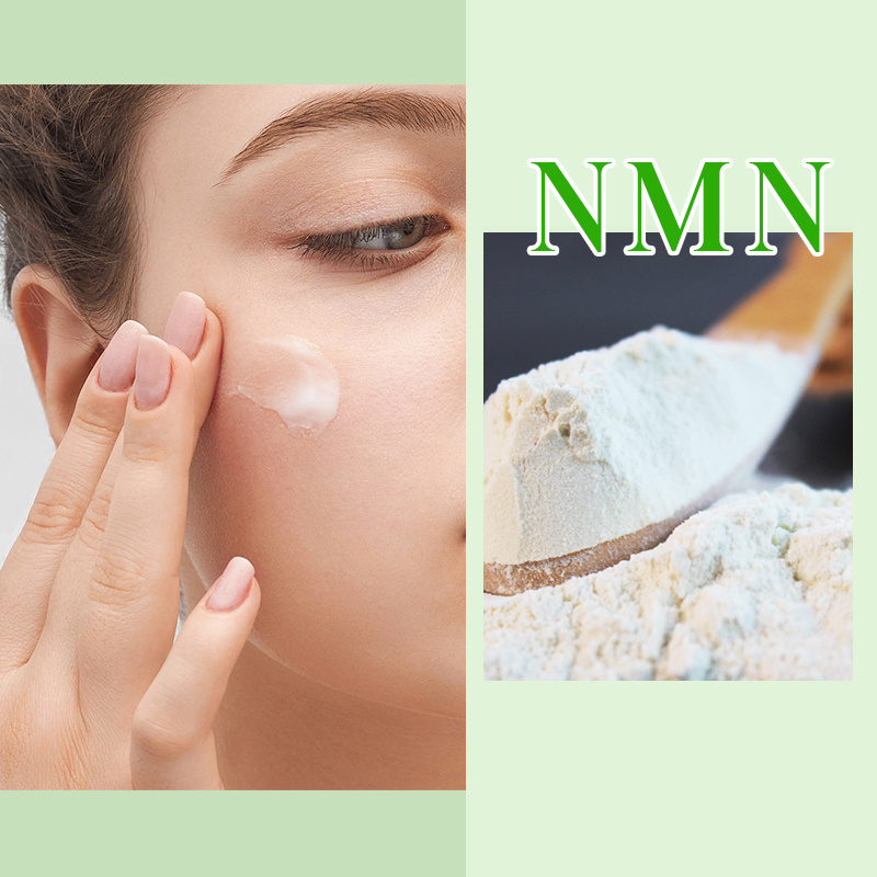 Top Selling Anti-Oxidation Nicotinamide Mononucleotide  99% NMN Powder niacinamide powder