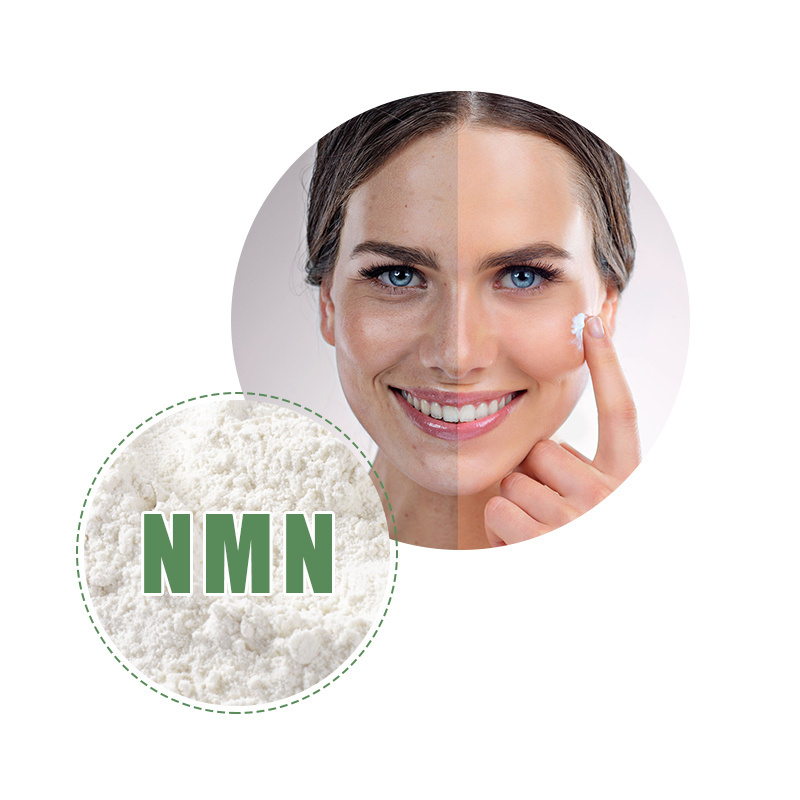 Top Selling Anti-Oxidation Nicotinamide Mononucleotide  99% NMN Powder niacinamide powder