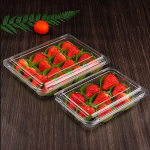 Whole Sale Disposable Strawberries Cherry Tomato Plastic Trays Packaging Box For Packaging Fruit