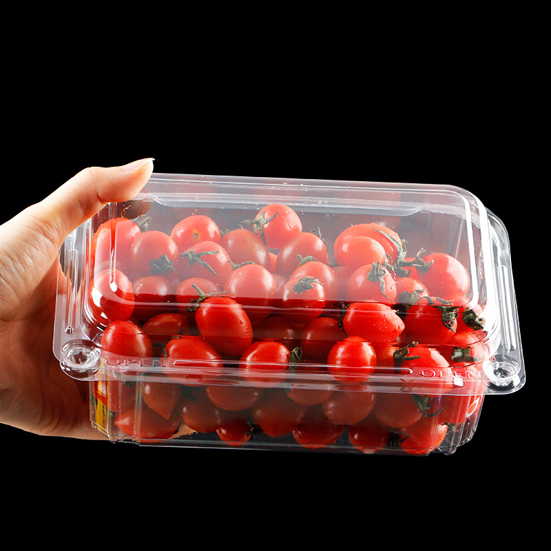 125G 250G 500G Blister Disposable Clear Plastic Packing Berry Strawberry Blueberry Clamshell Box Fruit Packaging Container