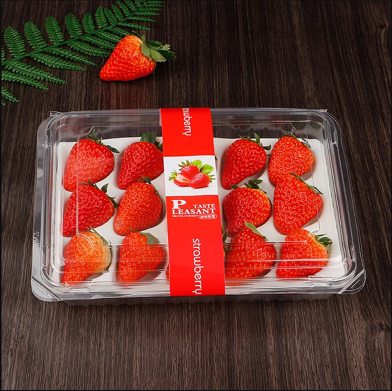 Whole Sale Disposable Strawberries Cherry Tomato Plastic Trays Packaging Box For Packaging Fruit