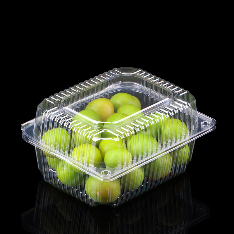 125G 250G 500G Blister Disposable Clear Plastic Packing Berry Strawberry Blueberry Clamshell Box Fruit Packaging Container