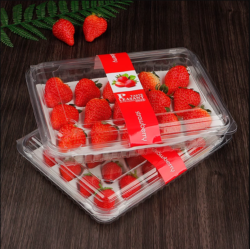 Whole Sale Disposable Strawberries Cherry Tomato Plastic Trays Packaging Box For Packaging Fruit