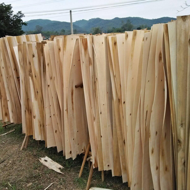 Core Veneers to make Plywood from Eucalyptus/ acacia  Made in Vietnam